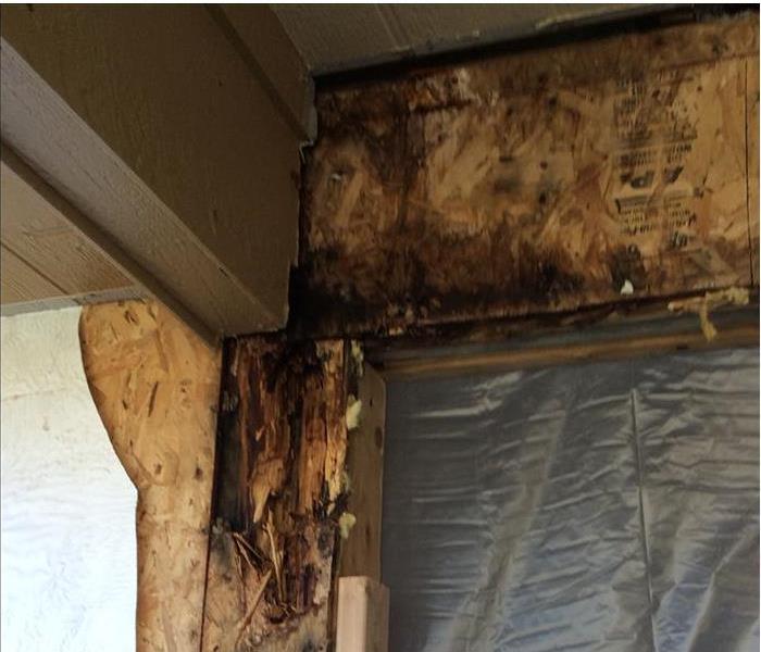 exposed rotting exterior sheathing and framing by a window, mold growth showing