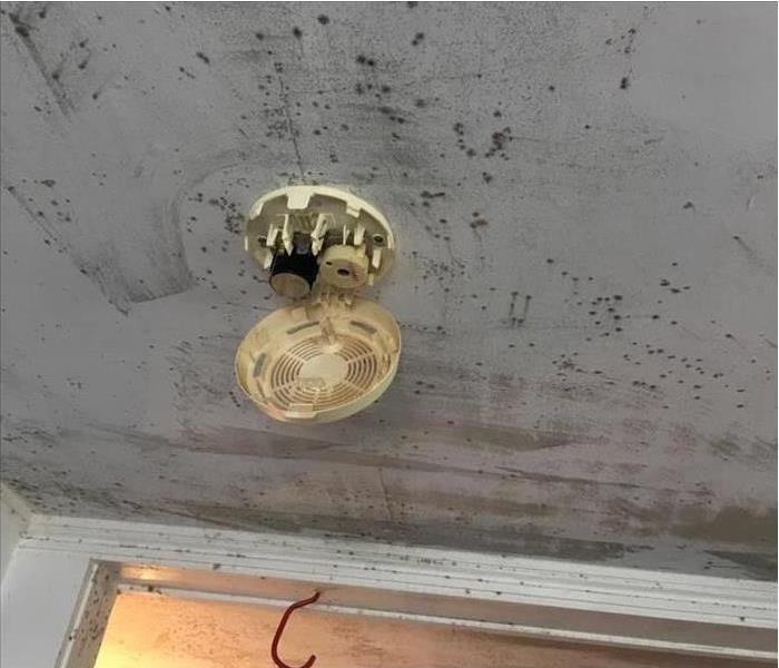 mold spots on a white ceiling by an opened smoke detector