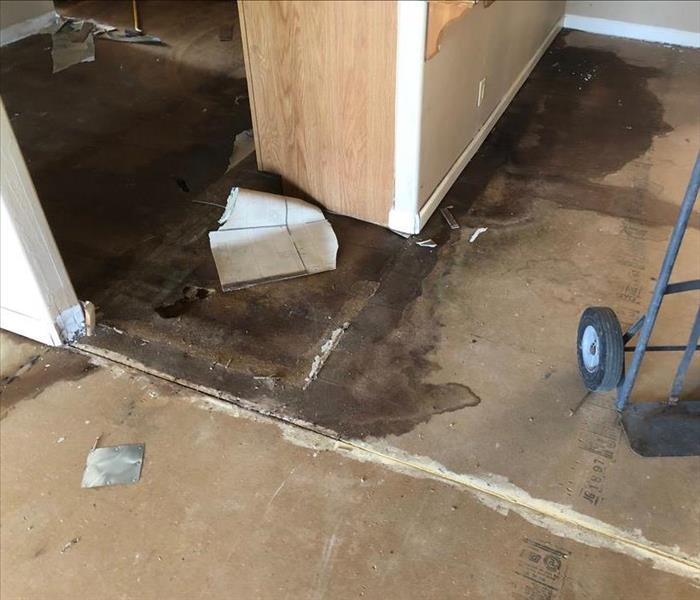 subfloor visible, no carpet, puddles of water and a cart