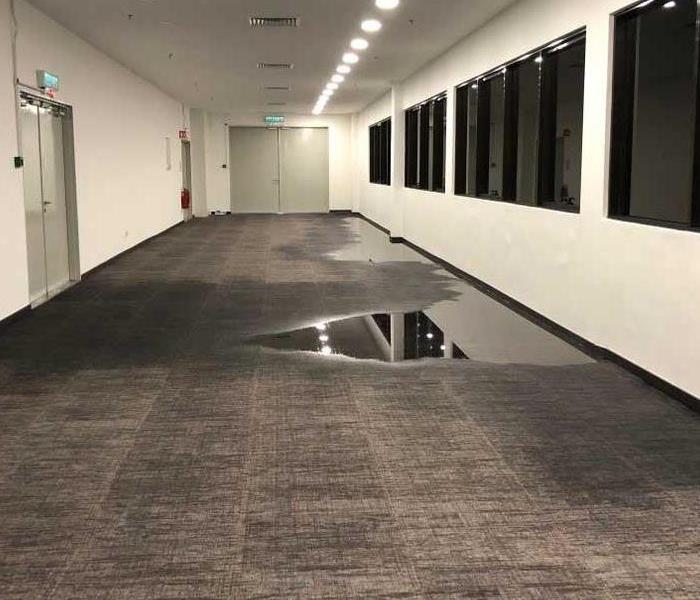 An office building hallway is flooded, carpets show pooled water.