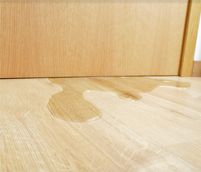 a puddle of water leaking through a door onto the wooden floor