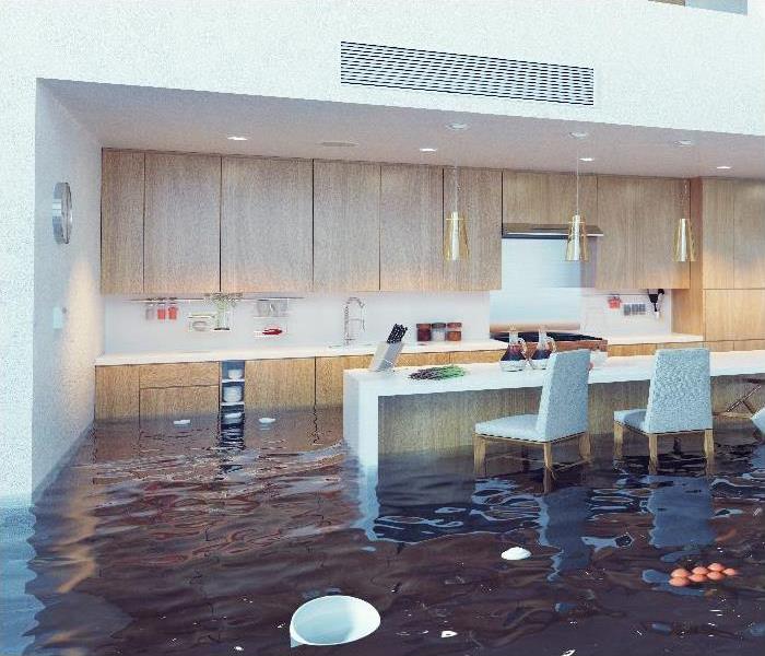 flooding in luxurious kitchen interior. 