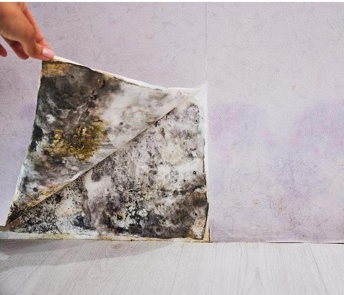 hand pulling wallpaper back exposing mold