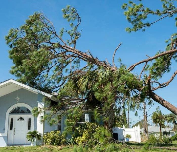 Tree fallen onto home after storm