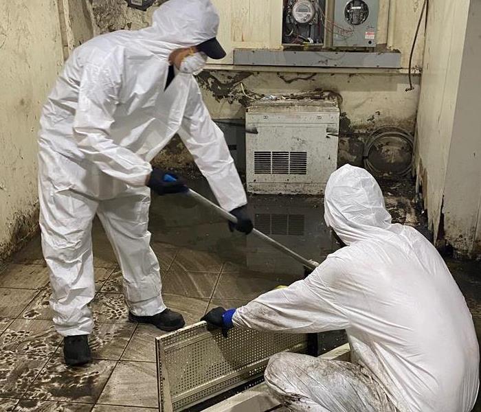 SERVPRO techs are cleaning up water and mold from a wet basement